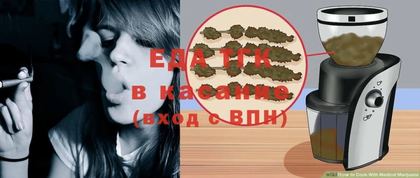 индика Абинск