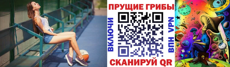 сколько стоит  Староминская  Псилоцибиновые грибы прущие грибы 